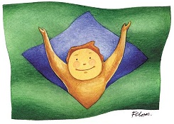 bandeira braziliense