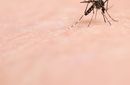 Soperj prepara médicos para o combate à Chikungunya 