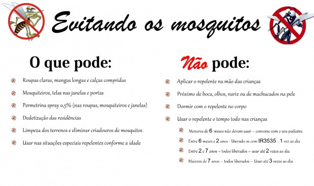foldermosquitos (1)